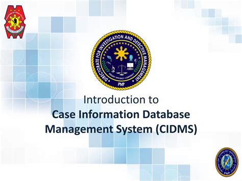 case information database management system